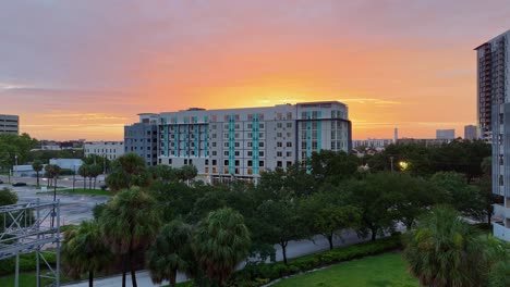 Drone-shot-pushing-through-palm-trees-to-reveal-a-sunrise-in-downtown-Tampa