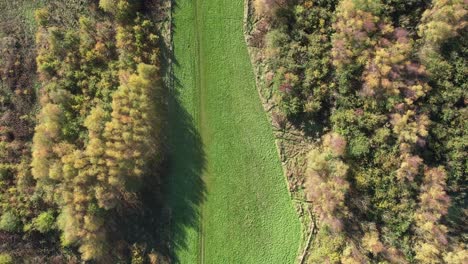 Genießen-Sie-Den-Ruhigen-Blick-Von-Oben-Auf-Die-üppigen-Bäume,-Die-über-Leuchtend-Grüne-Grasfelder-Verstreut-Sind