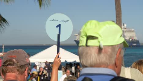 Tourists-gather-for-a-Mein-Schiff-excursion-in-the-Dominican-Republic-under-a-sunny-sky