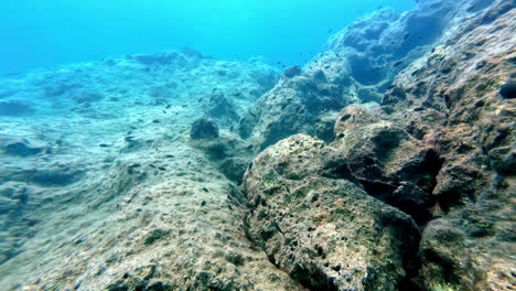 Escena-Submarina-Con-Océano-Azul-Claro,-Fondo-Arenoso-Y-Rocoso-Y-Pequeños-Bancos-De-Peces.