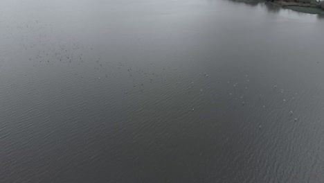 Aerial-view-of-a-large-lake-on-a-cloudy-autumn-day