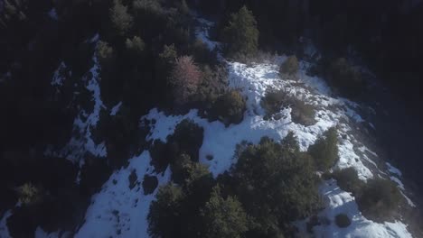 Volando-Sobre-El-área-De-Mill-Creek-En-Las-Afueras-De-Salt-Lake-City,-Utah