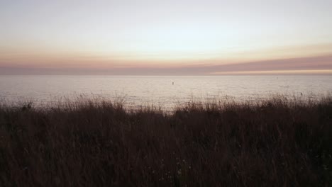 Flying-over-dry-weeds-to-descend-over-a-rocky-shoreline-during-golden-hour