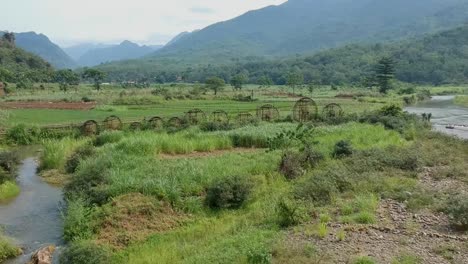 Vista-Aérea-De-Las-Ruedas-Hidráulicas-De-Bambú-Y-Los-Campos-De-Arroz-En-Pu-Luong,-Vietnam