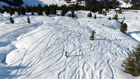 Snowboard-En-Pista-Entre-árboles,-Toma-De-Seguimiento-Con-Dron