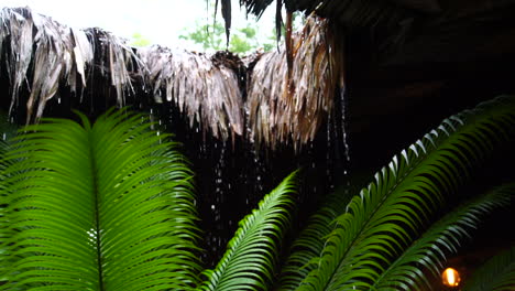 Slow-motion-footage-showing-large-water-droplets-falling-from-a-tropical-rooftop-onto-the-leaves-of-a-palm-tree-below