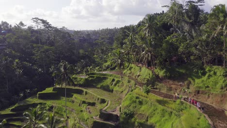 Aerial-pull-up-view-of-massive-hillside-Rice-terraces