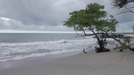 Toma-4k-De-Una-Playa-Solitaria