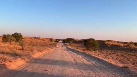 A-point-of-view-shot-of-a-vehicle-driving-on-a-sandy-track-in-the-Kgalagadi-Transfrontier-Park