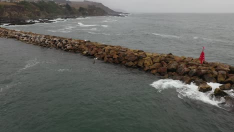 Gaviotas-Atacan-Al-Dron-Mavic-2-Dentro-Del-Mar-En-Un-Día-Nublado-Con-Grandes-Olas