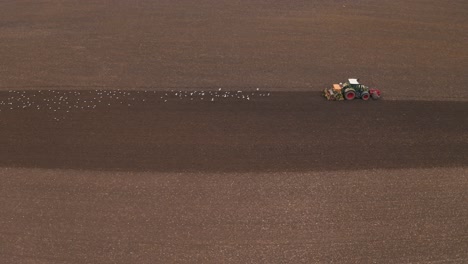 Bloqueo-De-Gaviotas-Siguiendo-Un-Tractor-En-Tierras-De-Cultivo.