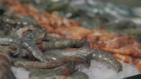 Different-prawns-on-ice-slow-motion-1080p