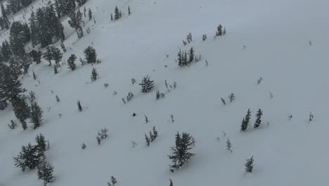 4K-Drohnenaufnahmen-Aus-Der-Luft-Eines-Snowboarders,-Der-Einen-Steilen-Hügel-Hinunterfährt,-Auf-Dem-In-Der-Wildnis-Kaliforniens-Bäume-Und-Schnee-Die-Felsigen-Gipfel-Säumen,-Während-Der-Skifahrer-Die-Bergwand-Hinunterrast