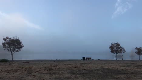 Foggy-park-with-a-few-trees-on-sight