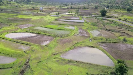 Órbita-Aérea-De-Un-Campo-De-Arroz-En-Los-Ghats-Occidentales,-Maharashtra,-India