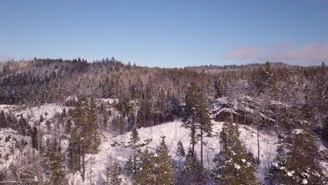 Aerial,-rising,-drone-shot-over-snowy-forest-and-hills,-on-a-sunny-day,-in-Birkeland,-Agder,-South-Norway