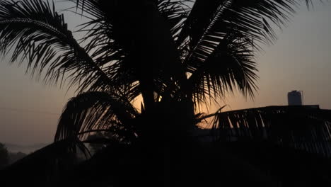 4k-Silhouette-of-coconut-tree-and-buildings-at-sunrise,-beautiful-fresh-inspiring-morning-in-India