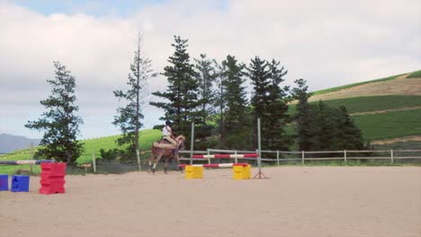 woman-jockey-jumping-hurdle-with-sabino-paint-cross-horse-breed-in-parade