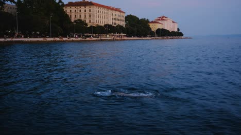 Night-swimmer-in-Zadar,-Croatia