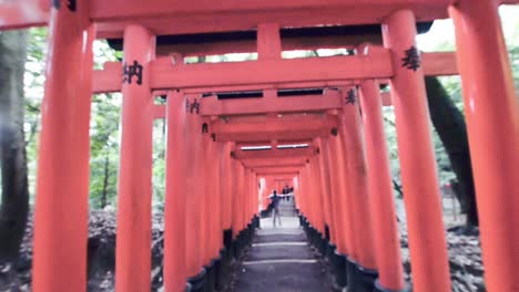 People-taking-photos-at-the-Torii-gates-in-Fushimi-Inari-in-Kyoto