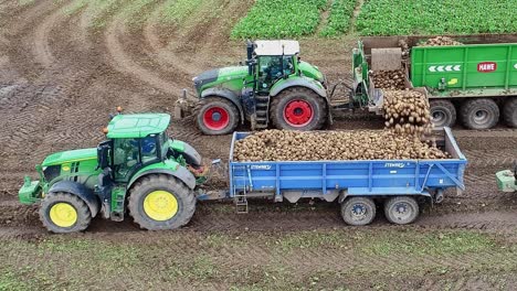 A-fully-loaded-harvesting-trailer-transfering-sugarbeet-that-has-just-been-harvested-into-a-waiting-tractor-trailer-unit