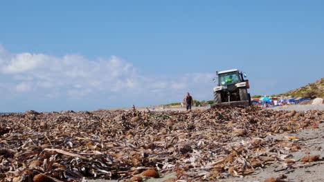 Timelapse-of-a-tractor-cleaning-seaweed-off-the-beach-after-a-storm