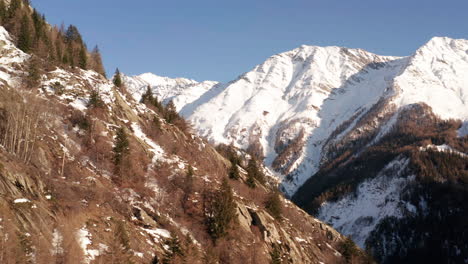 Luftaufnahme-Von-Bäumen-Auf-Einem-Felsigen-Hang-In-Einer-Wunderschönen-Berglandschaft