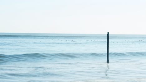 Single-pole-from-a-broken-jetty-mooring-stands-in-the-ocean-as-behind-it-seabirds-migrate