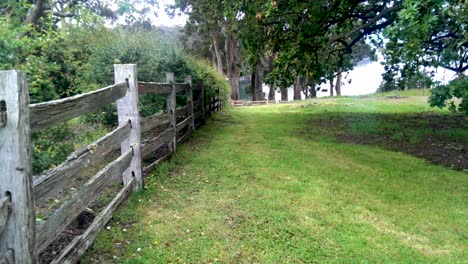 Old-wooden-fence-with-a-curious-Rabbit,-Port-Arthur,-Tasmania-2013