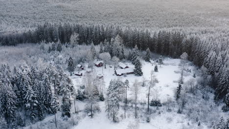 Aerial,-descending,-drone-shot,-tilting-towards-a-cottage,-in-middle-of-snowy-forest,-on-a-dark,-overcast-winter-evening,-in-Lammi,-Kanta-hame,-Finland