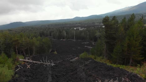 AERIAL:-man-walks-toward-the-edge-of-volcanic-terrain-looking-at-the-dark-lava-rocks-creating-a-path-through-the-forest