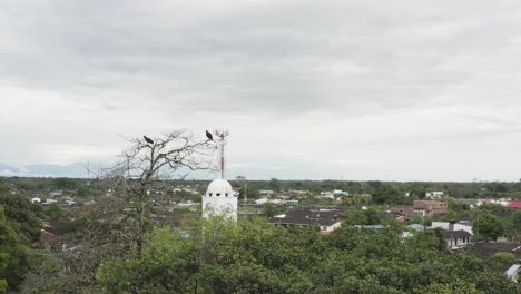 Pájaros-En-árbol-Seco-Y-Viejo,-Pueblo-De-San-Martín---Colombia,-Iglesia-Al-Fondo,-Con-Vegetación-Cercana-A-La-Población,-Creencia-Católica,-Video-Aéreo-De-Drones