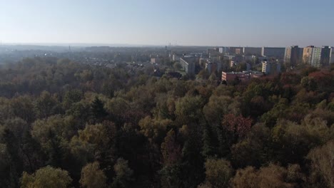 Luftaufnahme-Der-Stadt-Neben-Einem-Großen-Wald-Und-Einer-Filmischen-Rückansicht-Der-Schule