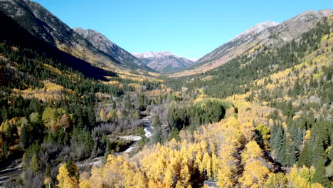 álamo-Temblón-En-El-Otoño-Montañas-Rocosas-Drone