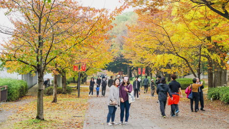 Time-lapse-Lleno-De-Gente-En-Un-Parque-Otoñal-En-Osaka,-Japón