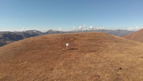 A-man-sprints-up-a-hill-while-being-chased-by-a-pack-of-dogs-at-the-top-of-a-mountain-in-the-Caucasus-Mountains-in-Georgia