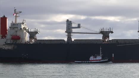 Filling-the-frame-a-large-ship-passes-by-while-being-guided-by-a-small-tugboat-in-Coos-Bay,-Oregon