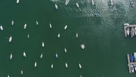 Hundreds-of-small-Boats-in-Hong-Kong-marina,-slow-pass-aerial-view