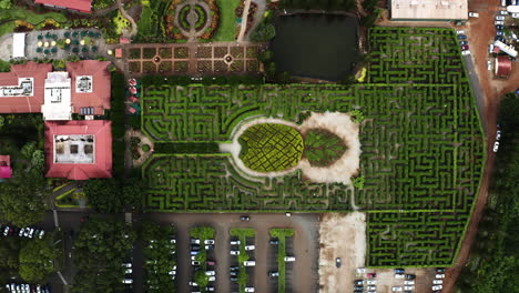 Aerial-View-Of-Maze-At-Pineapple-Farm-In-Oahu,-Hawaii