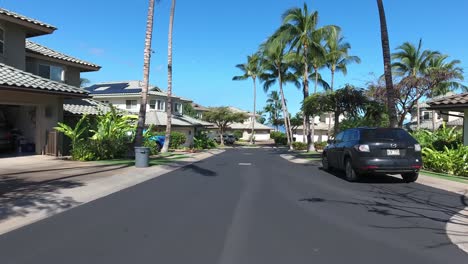 Vacation-houses-with-modern-architecture-on-both-sides-of-quiet-road-surrounded-by-tall-palms-in-Kai-Malu,-Hawaii