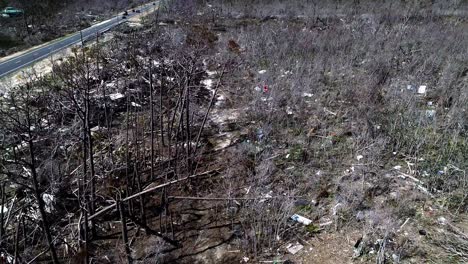 Mexico-Beach,-Florida---Aerial-views-of-the-forest-show-the-debris-remnants-of-homes-and-businesses-left-by-Hurricane-Michael,-a-Category-5-storm,-which-struck-in-October-2018