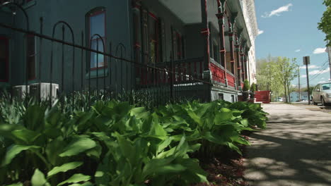 Tulips-growing-along-sidewalk-in-Lewisburg,-Pennsylvania,-Dolly-Forward