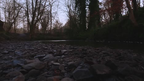 Rocas-Y-Río-En-El-Parque-Forestal