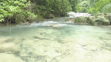 Aerial-capture-of-the-transparent-waters-of-the-River-Mulito-Pedernales,-Dominican-Republic