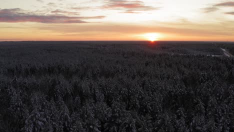 Schneebedeckte-Baumkronen-Unter-Dem-Sonnenverwöhnten-Sonnenuntergang,-Der-über-Der-Landschaft-Lettlands-Leuchtet---Weitwinkelaufnahme