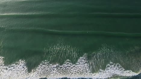 A-shark-moves-along-the-surfing-line-up-with-longboard-and-short-boarders-catching-waves-at-Muizenberg-beach-in-the-City-of-Cape-Town