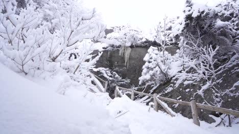 Dolly-Pan-Rodada-En-El-Maravilloso-Invierno-De-La-Montaña-Del-Este-De-Canadá