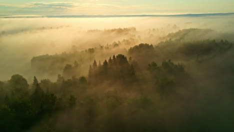 Luftbild-Kamerafahrt-Vor-Nebligem-Wald-An-Einem-Sonnigen-Sommermorgen