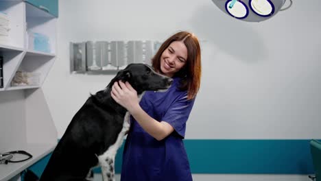 Portrait-Happy-girl-veterinarian-in-blue-uniform-petting-black-dog-during-examination-in-veterinary-clinic-and-posing