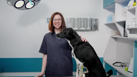 Portrait-of-a-happy-brunette-veterinarian-girl-in-a-blue-uniform-with-a-black-dog-during-an-examination-at-a-veterinary-clinic